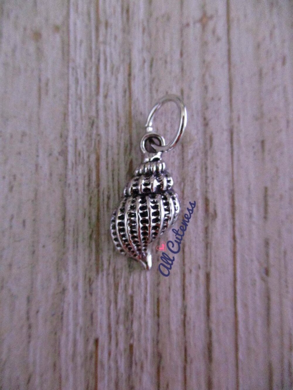 🎀 Seashell Charm